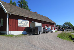 Ale Djurklinik Ab