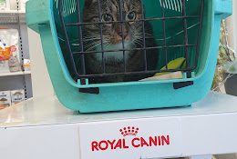 Anicura Aros Veterinärcentrum