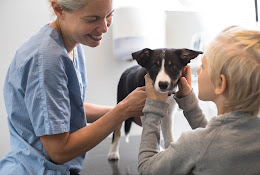 Anicura Ludvika Animal Clinic