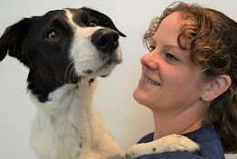 Anicura Veterinärhuset Ängelholm
