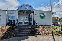 Animal Artro Clinic I Söderköping