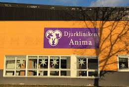 Animal Clinic Anima Ab