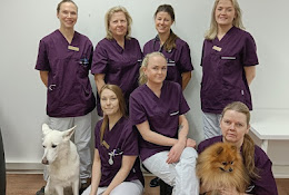 Animal Clinic NorrtÀlje - Veterinarian