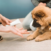 Arken Zoo Veterinärklinik I Borås