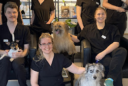 City Vets In Lund