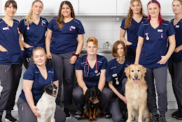 Cityveterinären