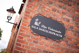 Din Veterinär - Sala Smådjurspraktik