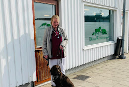 DingleveterinÀrerna SmÄdjurskliniken I Lysekil