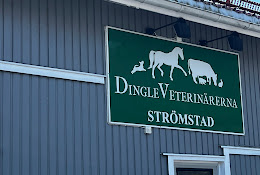 Dingleveterinärerna Strömstad