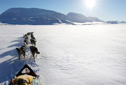 District Veterinarians Kiruna