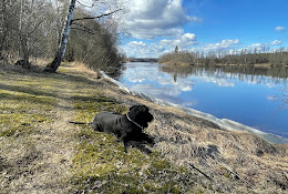 Distriktsveterinärerna Södra Dalarna