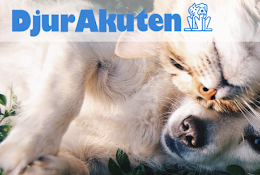 Djurakuten
