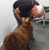 Ekbergets VeterinÀrpraktik Ab