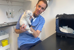 Ekerö Djurklinik Ab