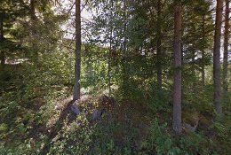 Gäddviks Veterinärpraktik Ab