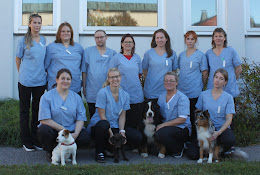Gnesta Veterinärpraktik Ab