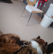 Grimnäs Veterinärklinik Ab