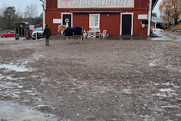 Hästkliniken I Norrköping Ab