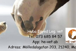 He-Vet Ab - Arlöv