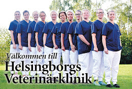 Helsingborg Veterinary Clinic