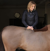 Katja Gustavsen Veterinär Ab