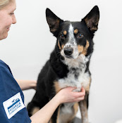 Norrtälje Veterinärklinik Evidensia