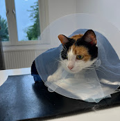 Östgötaveterinären Ab
