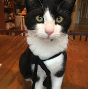 Roslagsbro VeterinÀrpraktik