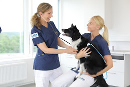 Sävedalens Veterinärklinik Evidensia