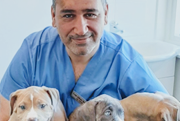 Smådjursveterinär Örebro Ab