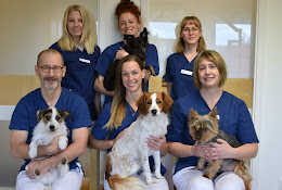Small Animal Clinic In Knivsta Ab