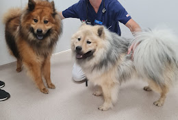 Vasby Animal Hospital