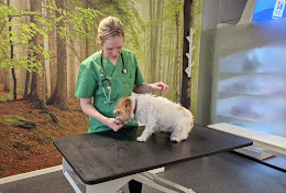 VeterinÀrerna Specialist- Och PrimÀrvÄrd LuleÄ