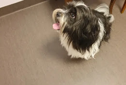 Veterinärkliniken I Djurås