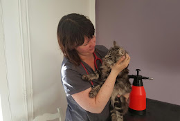 Veterinärkliniken Tusen Och En Katt Eksjö