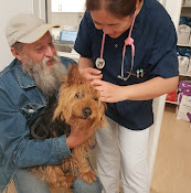 Vetgot