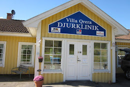 Villa Qrera Djurklinik