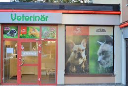 Zootopia Veterinärklinik